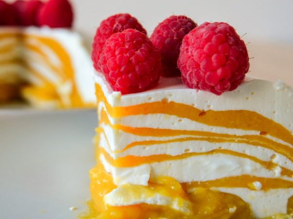 TARTITA DE YOGUR Y MANGO