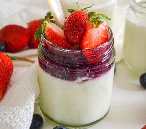 YOGUR CASERO